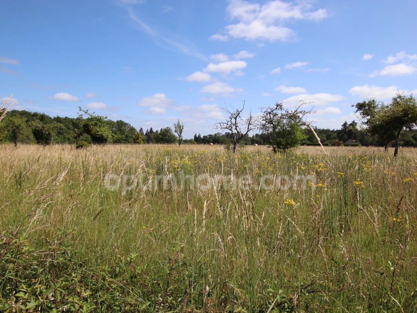 Terrain à vendre - 3178m2 - Chaumont-Sur-Thar... (41600)