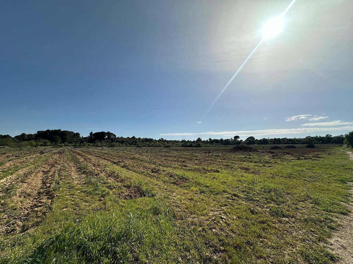 LOUPIAN - Terrain agricole de 17120m²