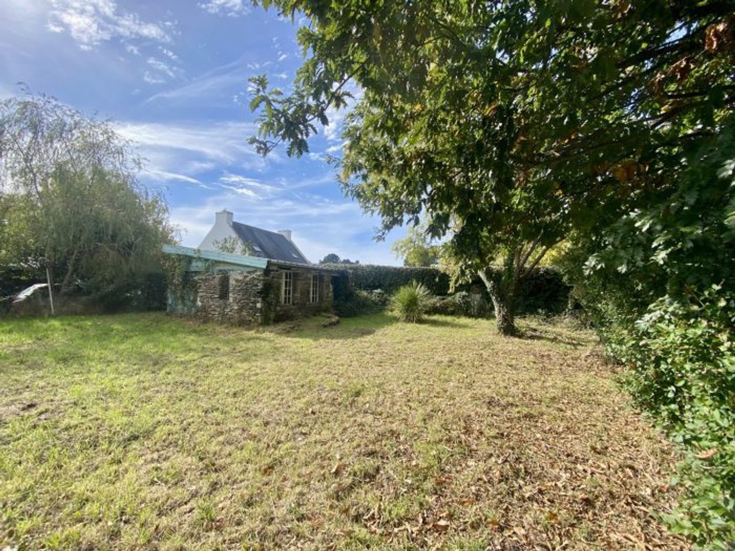 Terrain 446 m²