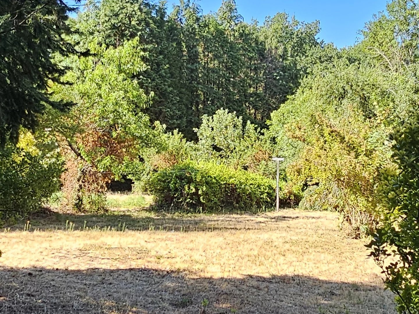 Maison à vendre - 7 pièces - 134m2 - Chirac (16150)