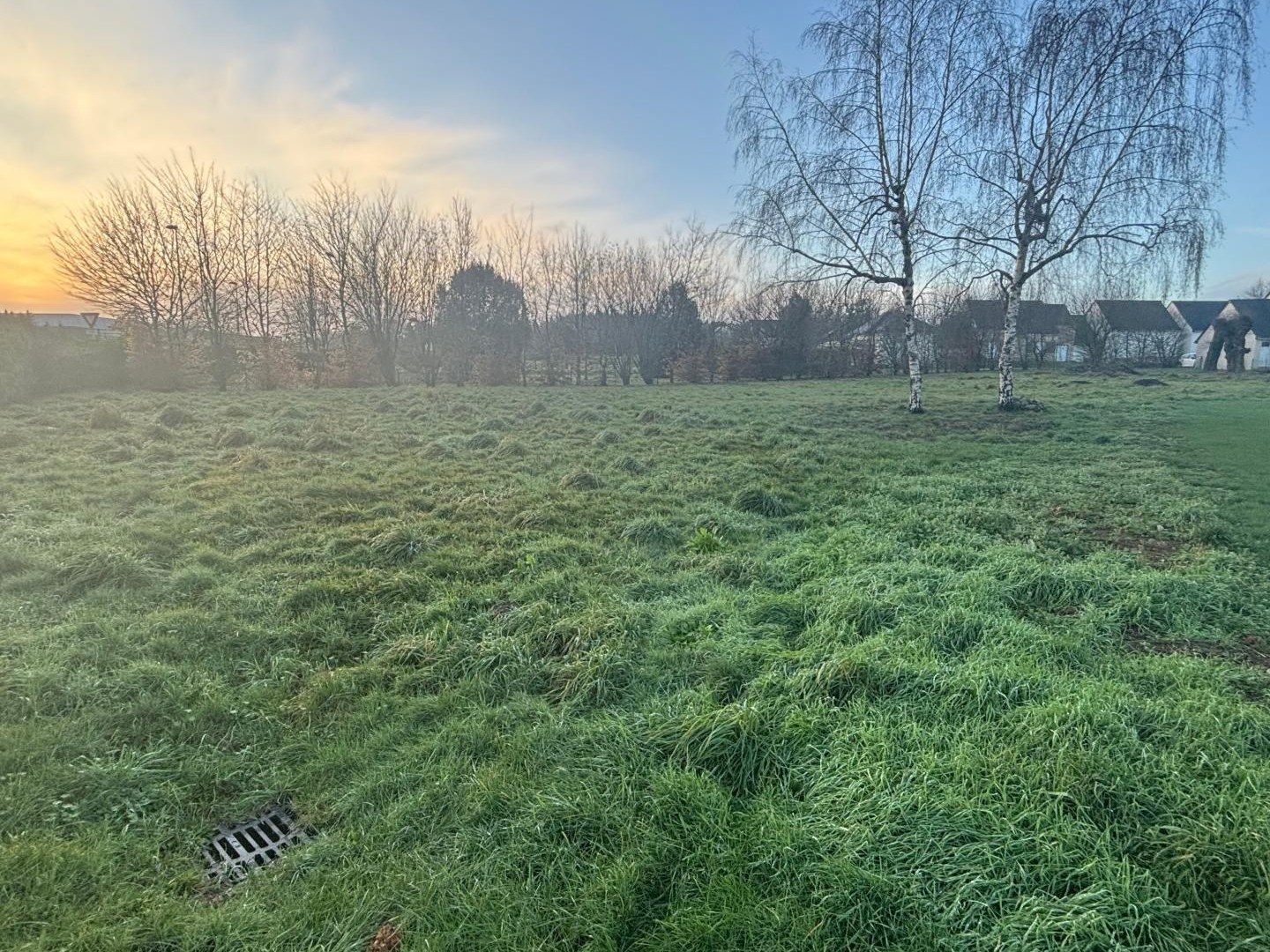 Terrain à vendre - 1290m2 - Pleucadeuc (56140)