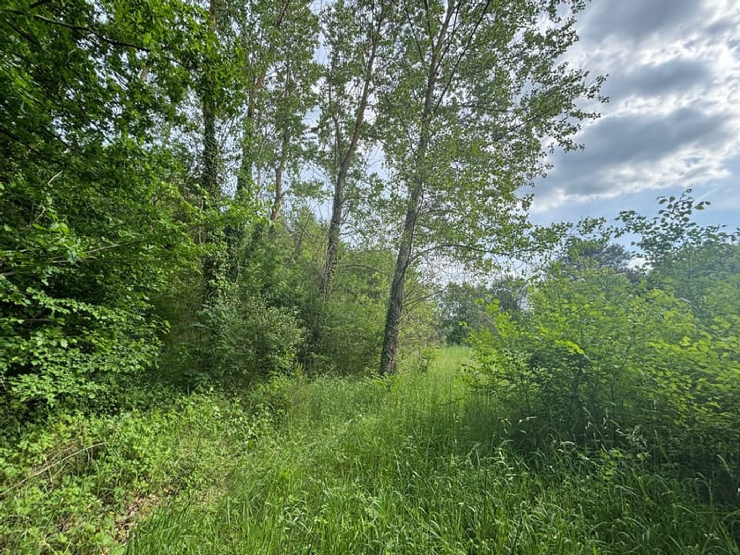 Terrain