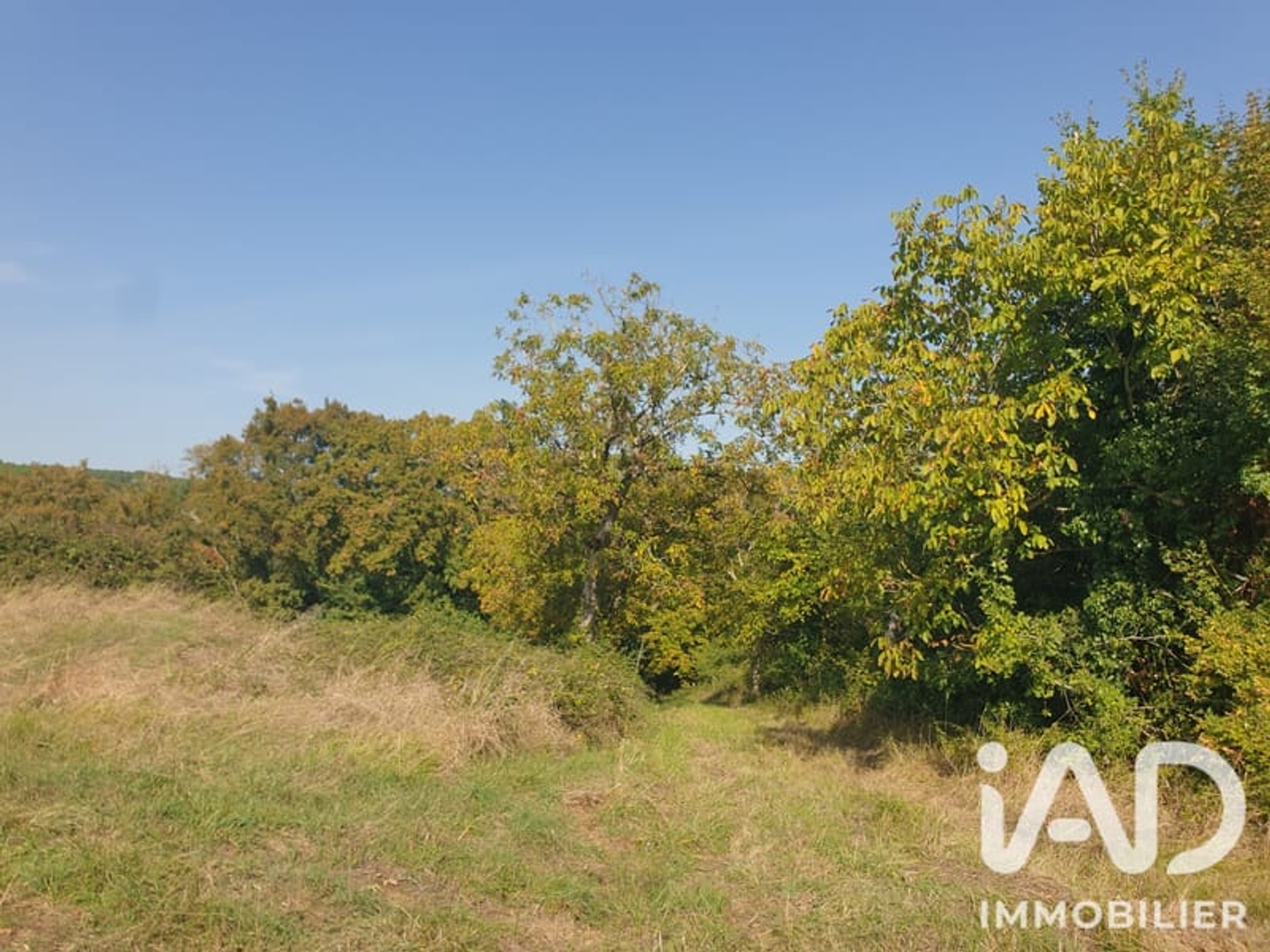 Maison à vendre - 8 pièces - 356m2 - Buzet-Sur-Baïse (47160)