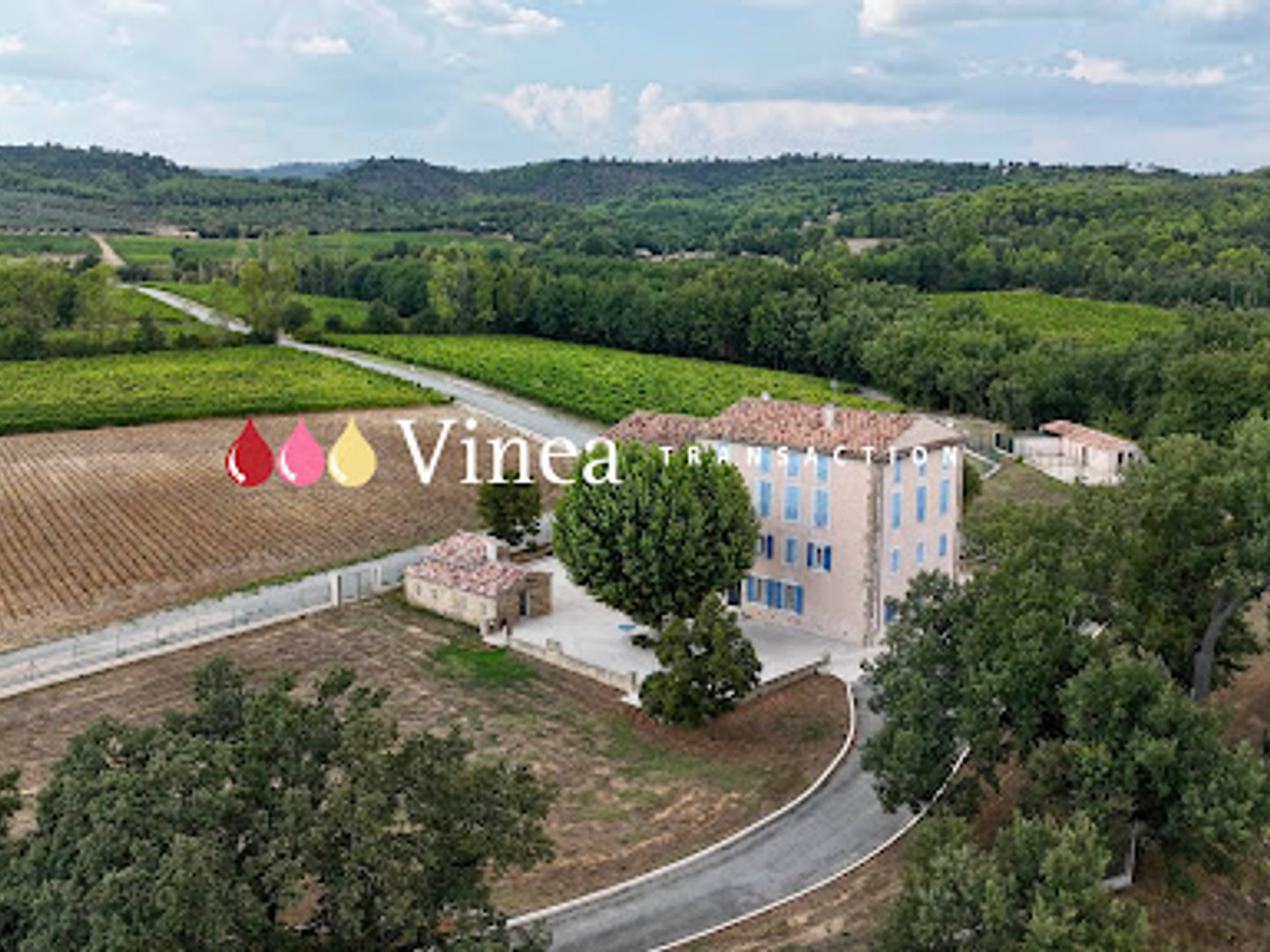 Vignoble 360000 m²