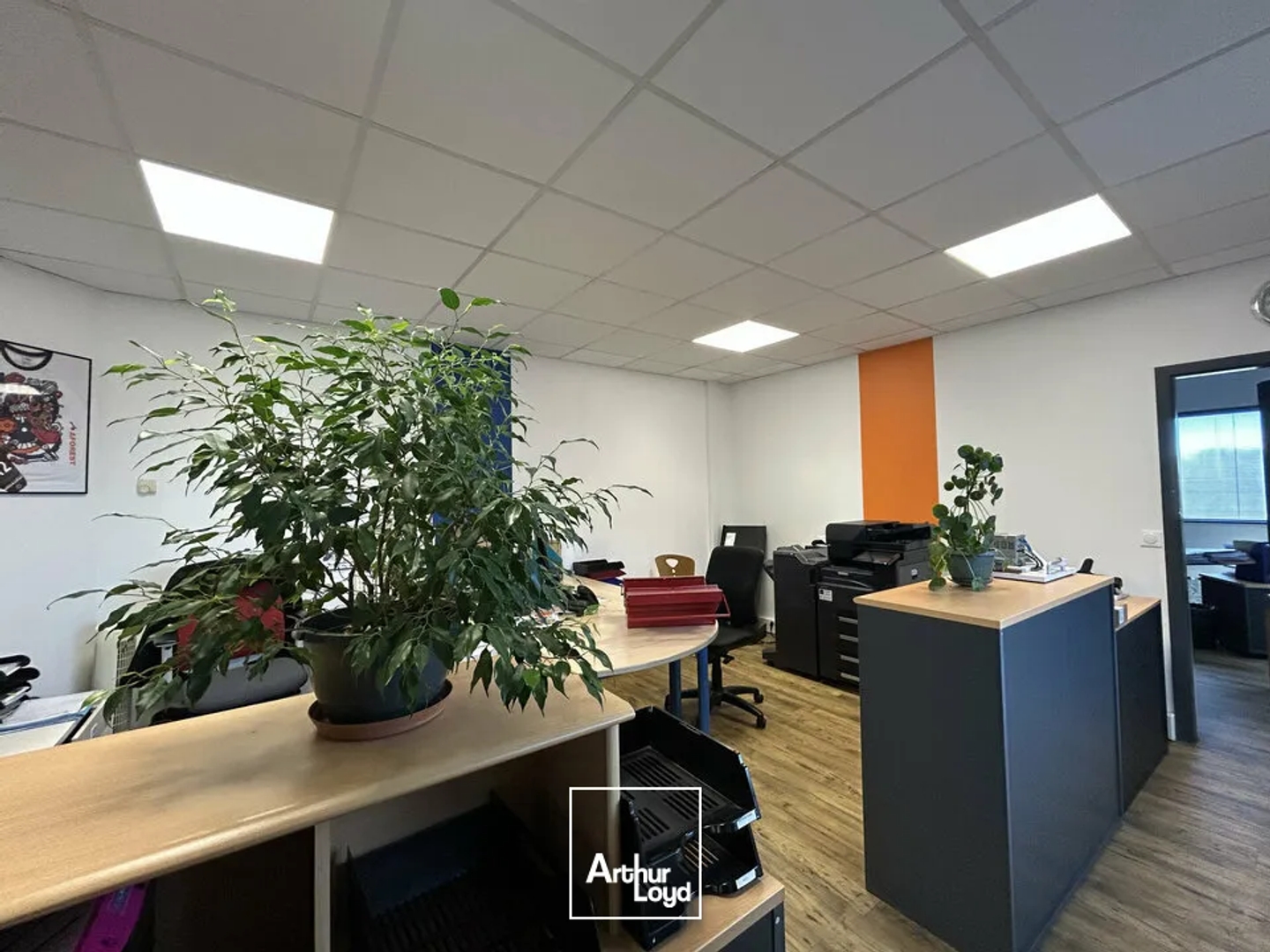 Locaux à vendre - 808m2 - Henriville (57450)