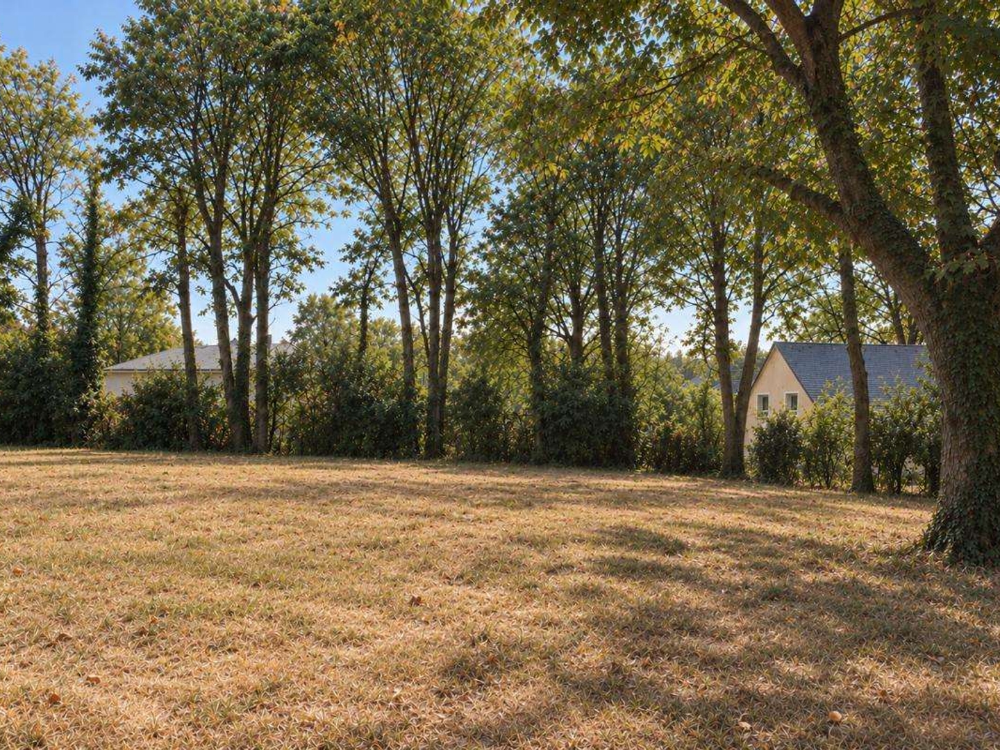 Terrain 470 m²