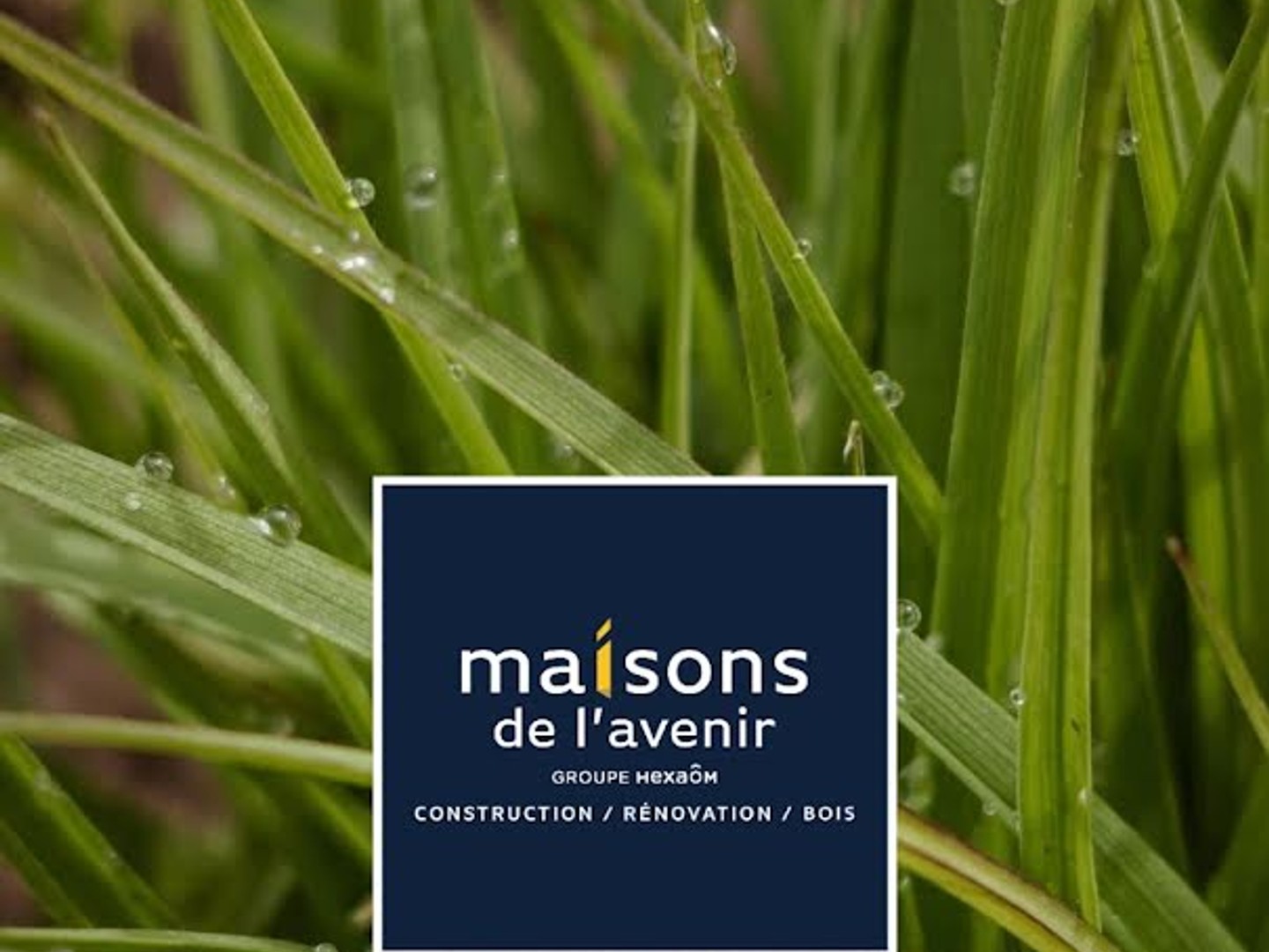 Terrain 1382 m²