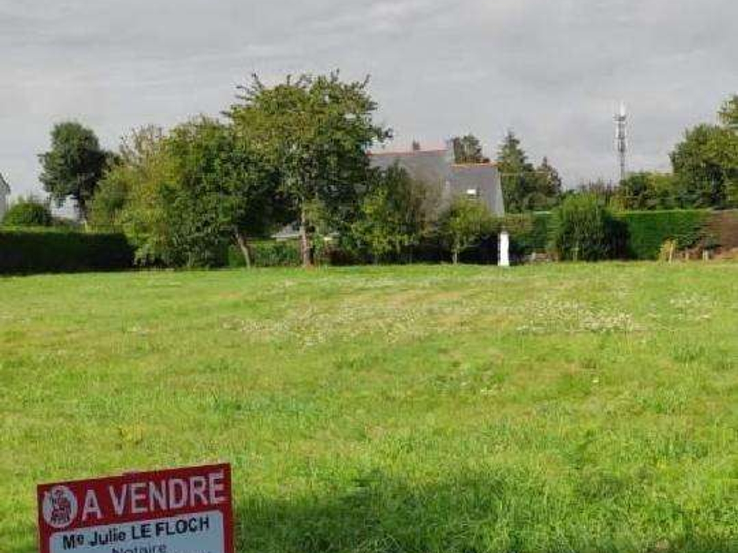Terrain 560 m²