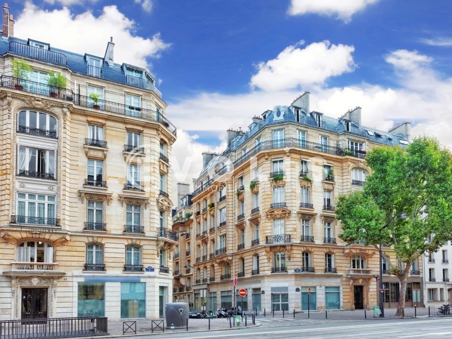 Locaux commerciaux - VENTE DE MURS OCCUPES - 480 m² non divisibles