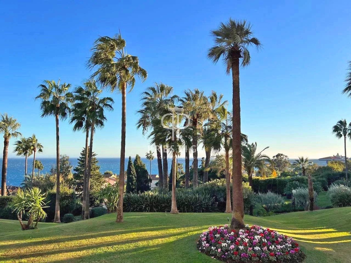 Achat : Appartement Cannes (06150)