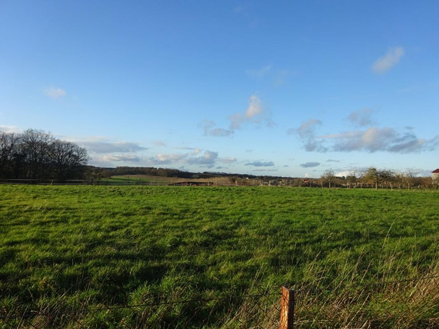 Terrain à vendre - 1270m2 - Azay-Le-Ferron (36290)