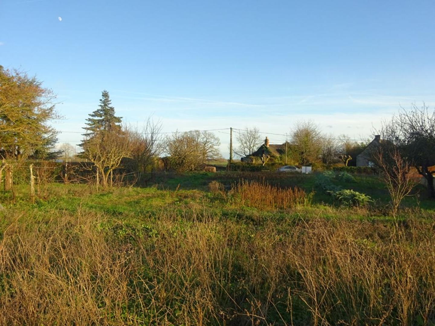 Terrain à vendre - 1270m2 - Azay-Le-Ferron (36290)