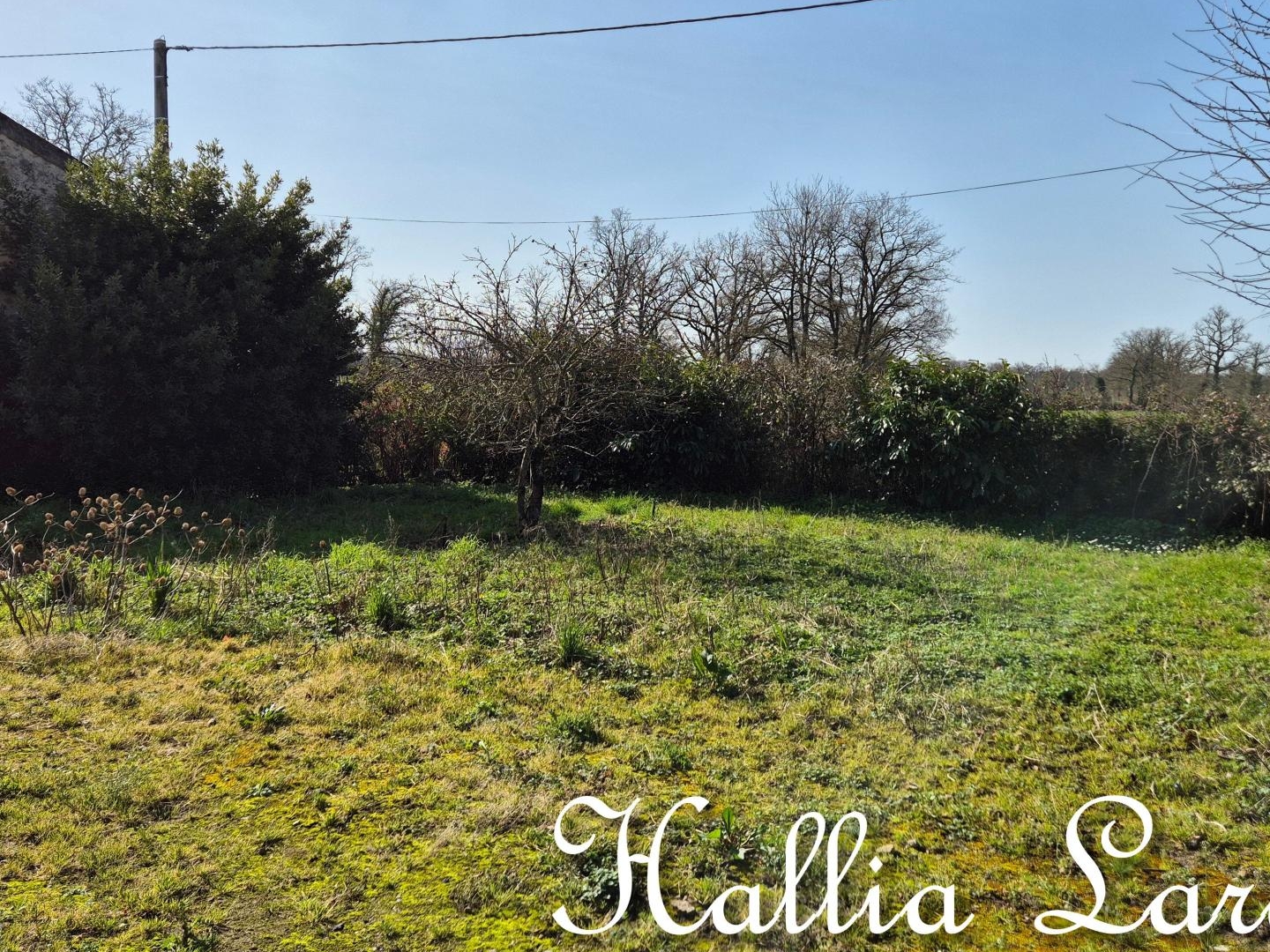 Maison à vendre - 2 pièces - 45m2 - Lathus-Saint-Rémy (86390)