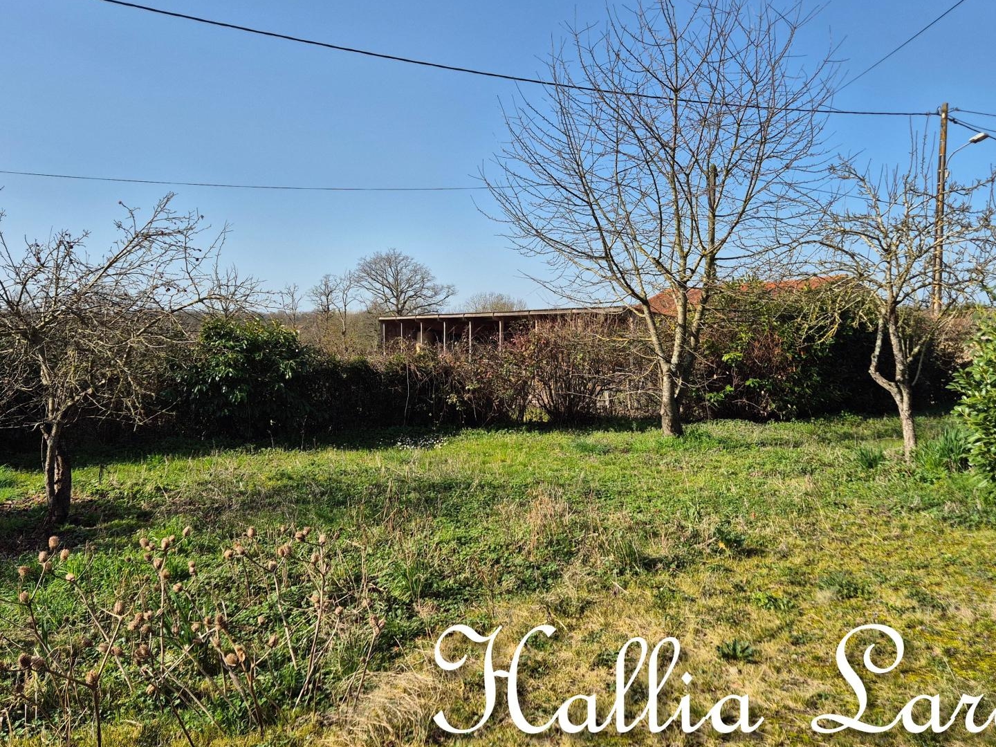 Maison à vendre - 2 pièces - 45m2 - Lathus-Saint-Rémy (86390)