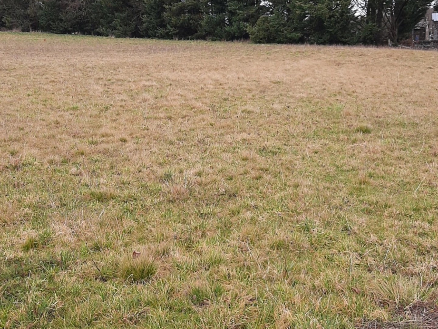 Terrain 1267 m²