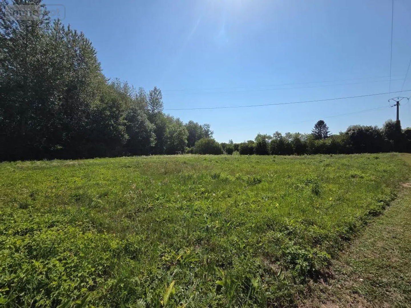 Terrain 11115 m²