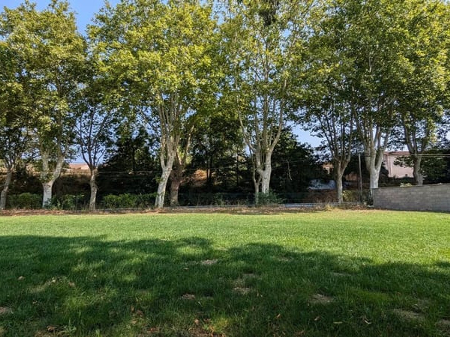 Terrain