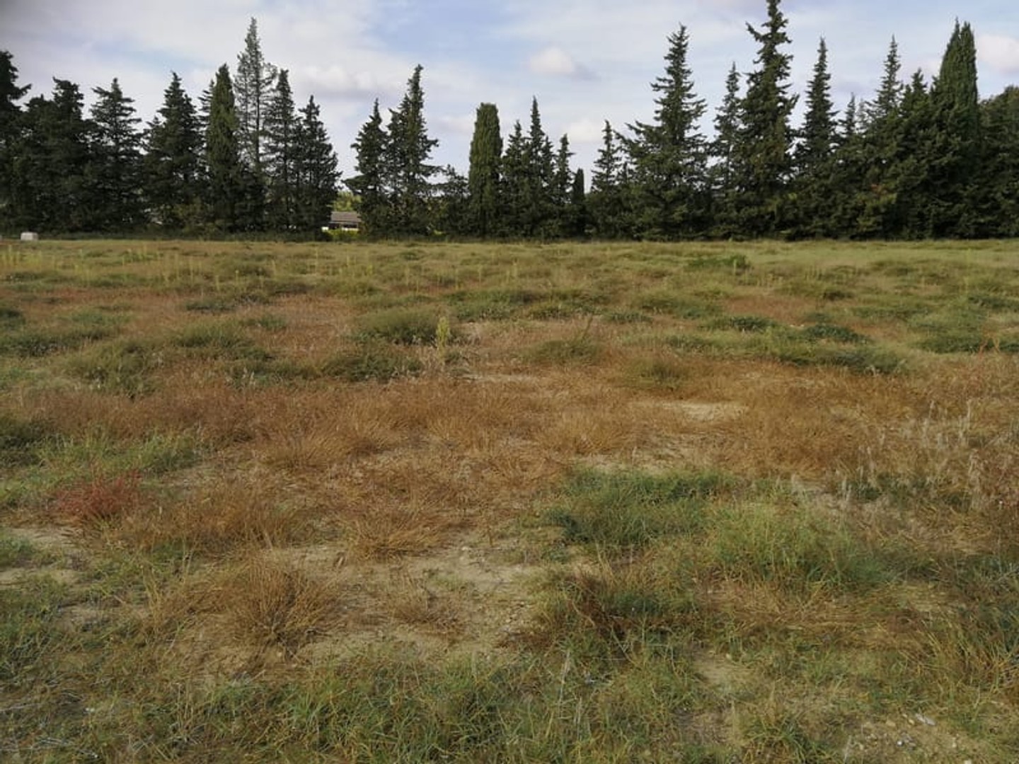 SAINT PAUL TROIS CHÂTEAUX - Terrain à bâtir viabilisé 1339 m2 - Hors lotissement