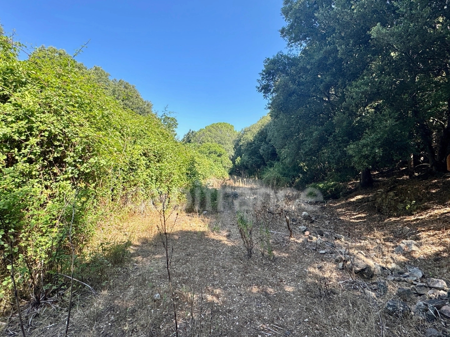 Terrain à vendre - 3380m2 - Galéria (20245)