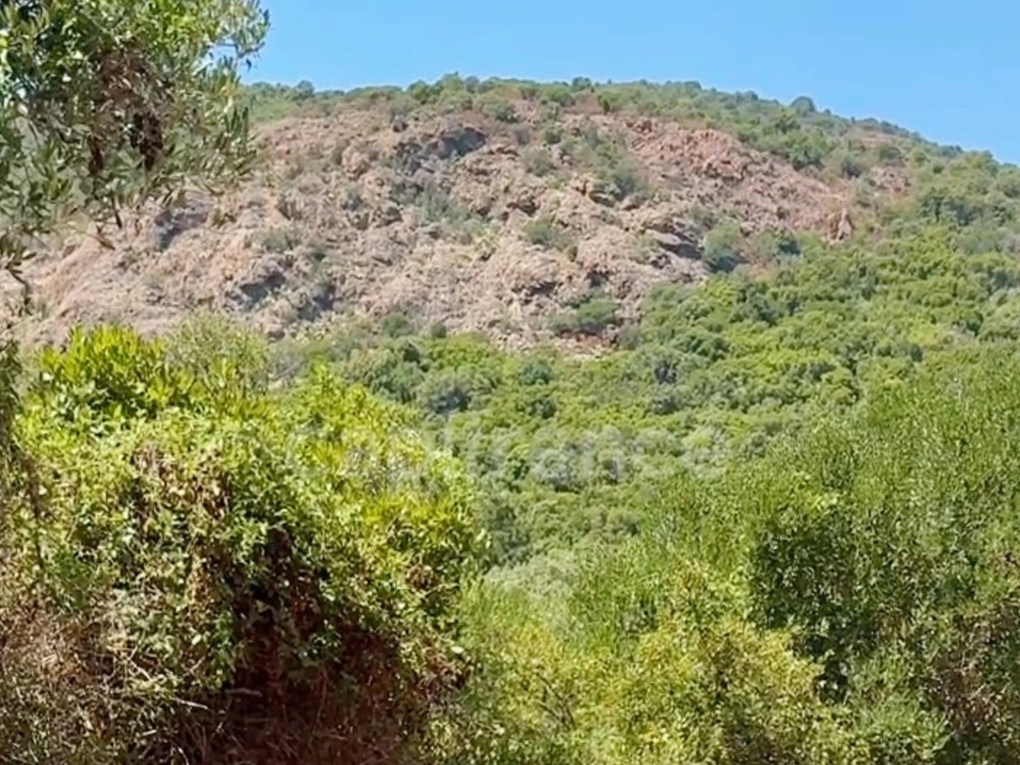 Terrain à vendre - 3380m2 - Galéria (20245)