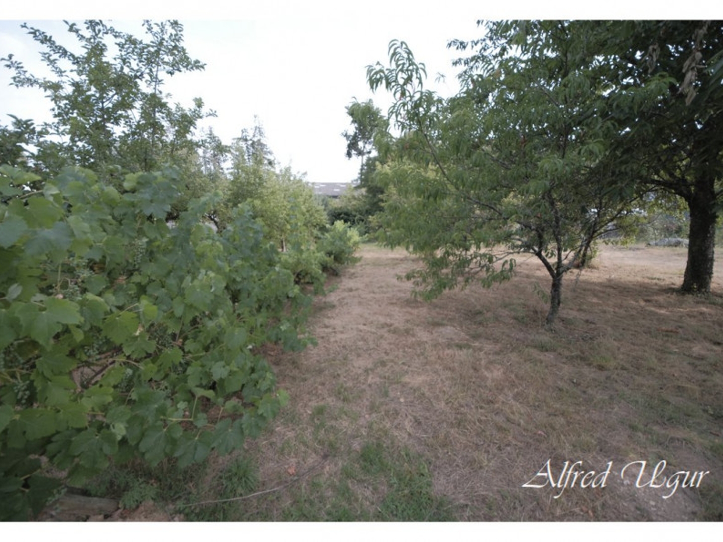 Terrain à vendre - 1560m2 - Val D'anast (35330)