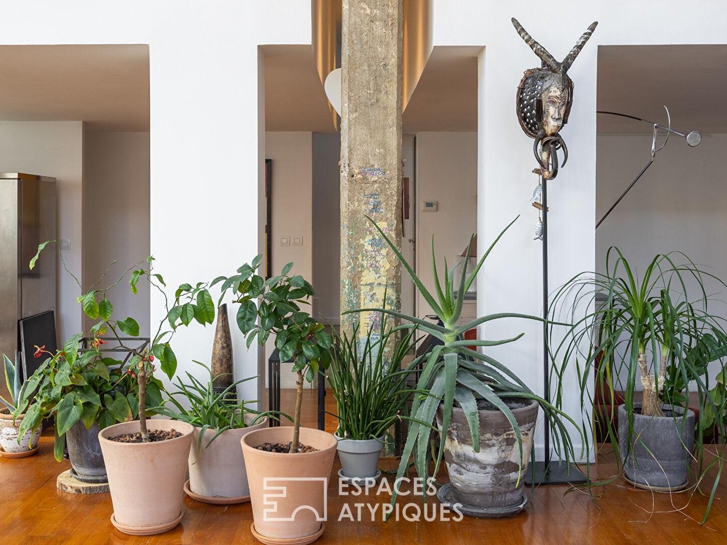 Loft baigné de lumière dans un ancien atelier en coeur de ville