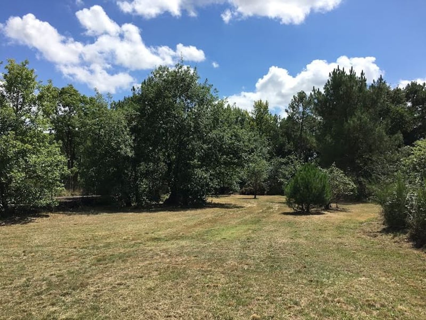 Terrain 550 m²
