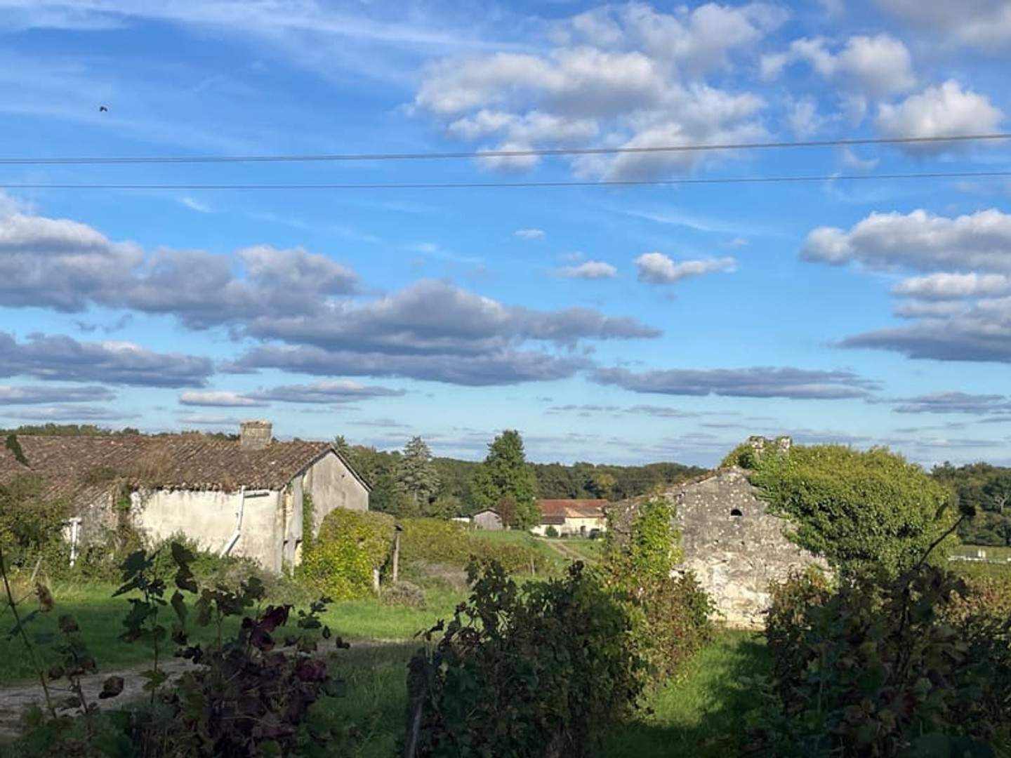 Maison à vendre - 3 pièces - 450m2 - Puisseguin (33570)