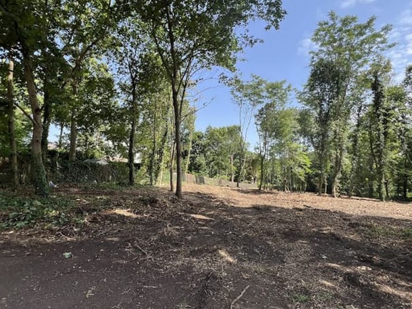 Terrain 1613 m²