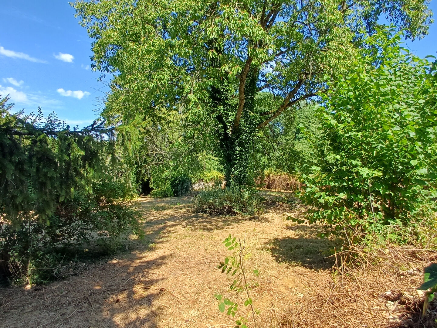 Terrain 811 m²