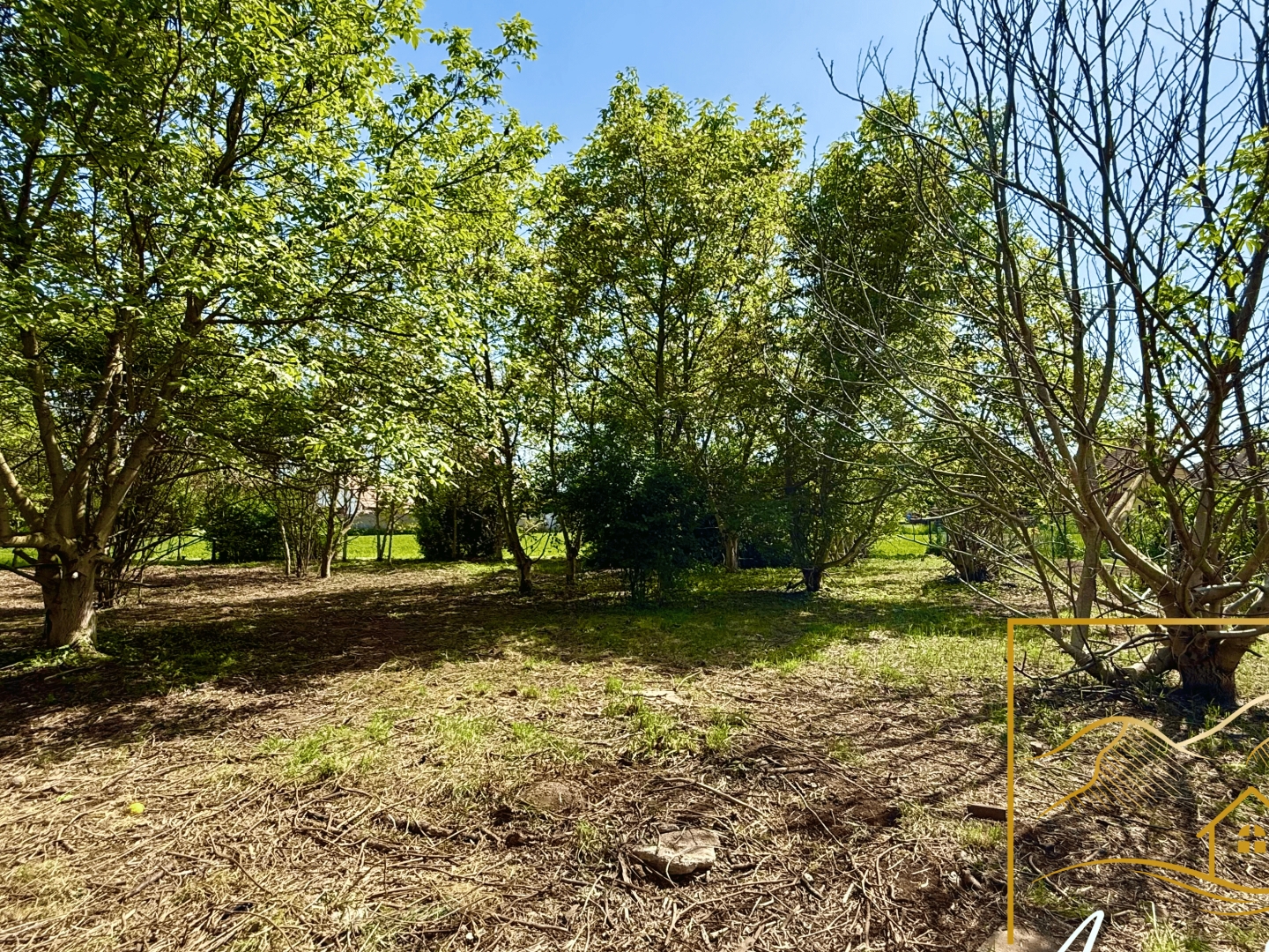 Terrain à vendre - 1431m2 - Sélestat (67600)
