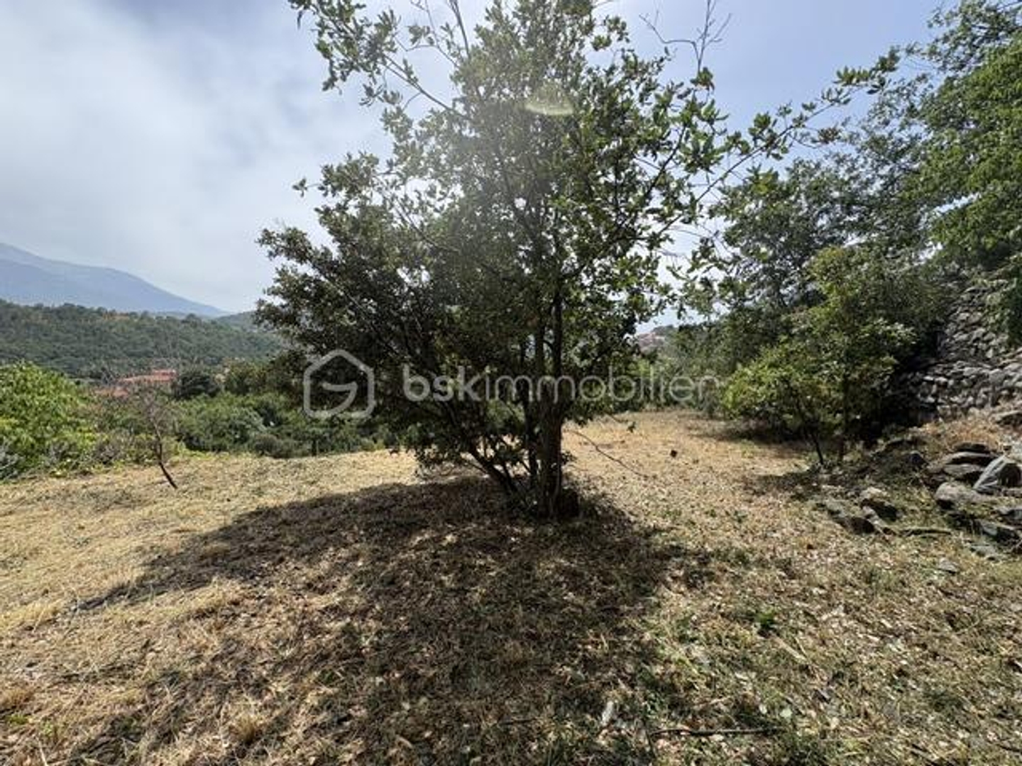 Terrain à vendre - 4495m2 - Ria-Sirach (66500)