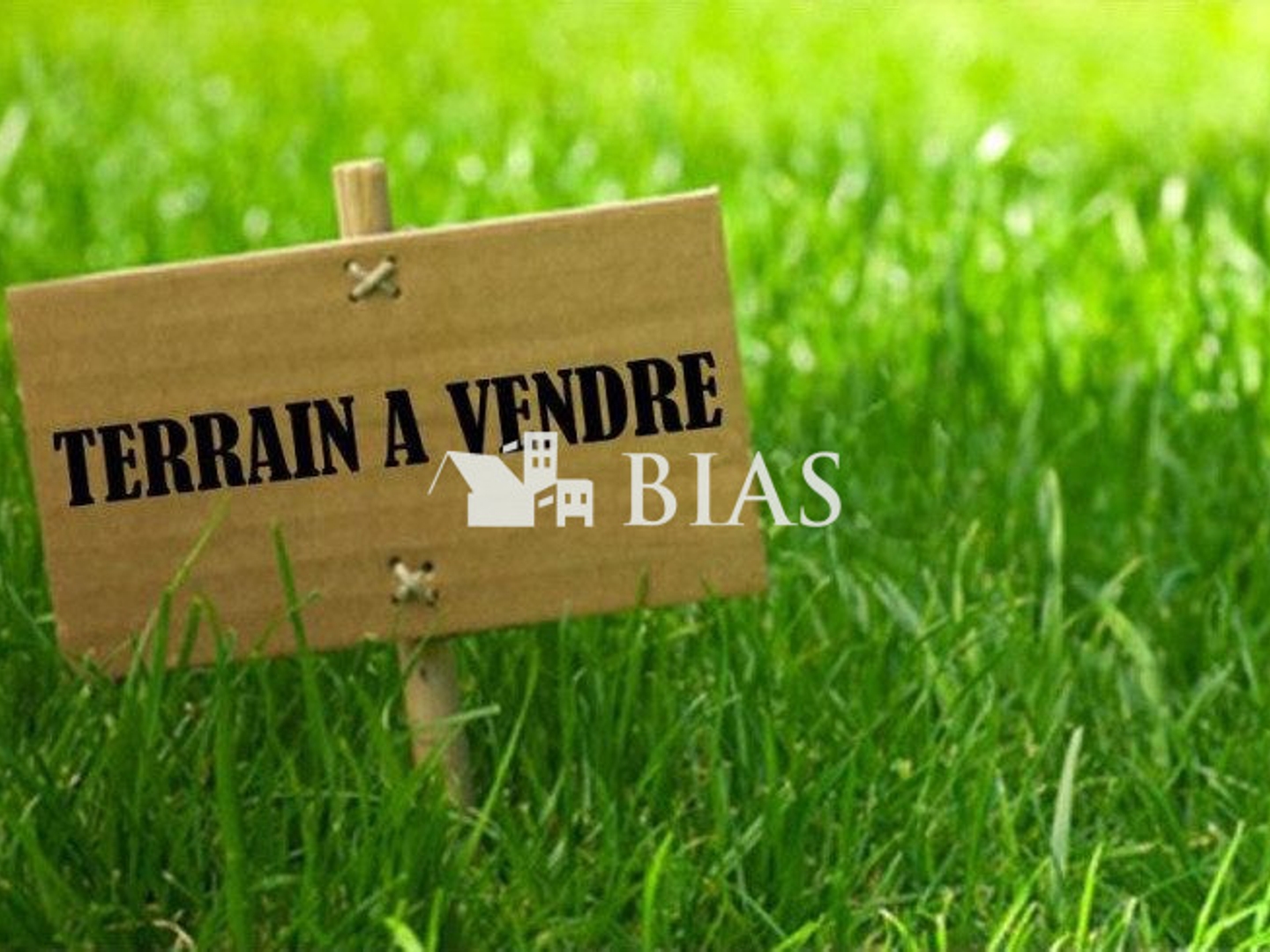 Terrain en individuel 15000 m²