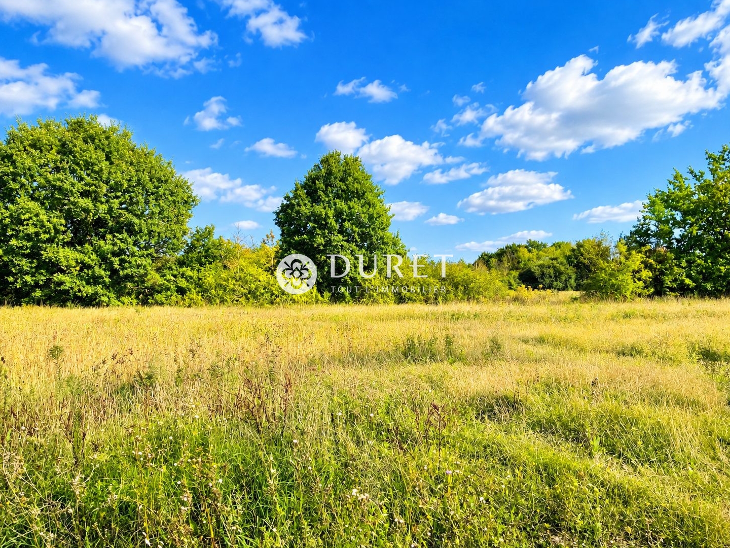 Locaux à vendre - 6181m2 - Falleron (85670)