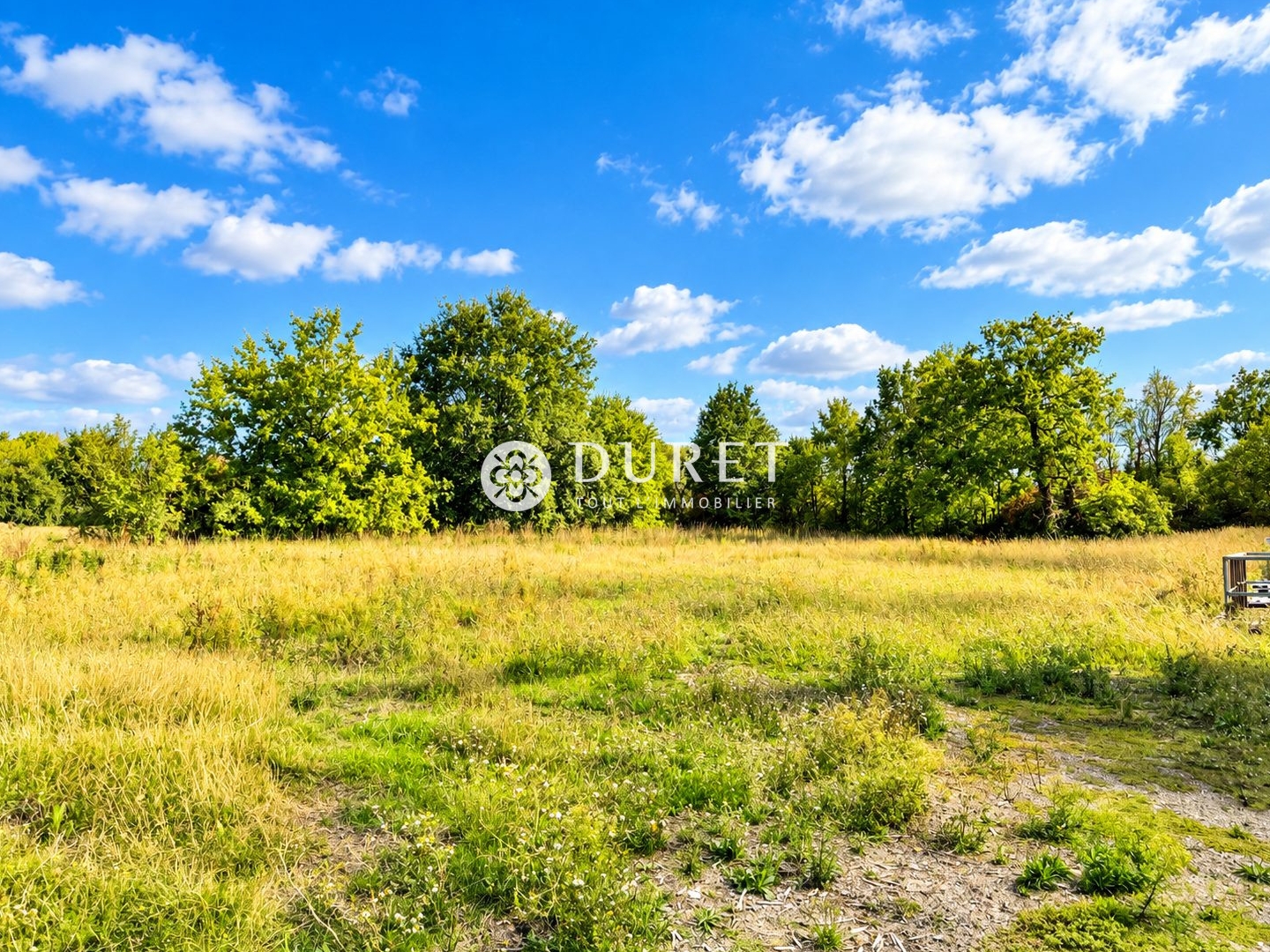 Locaux à vendre - 6181m2 - Falleron (85670)