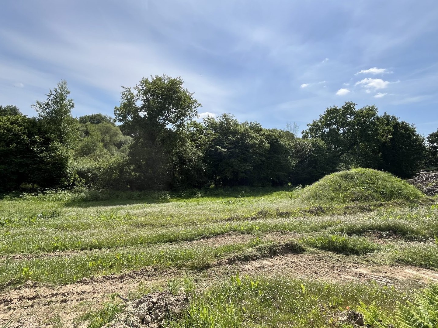 Terrain