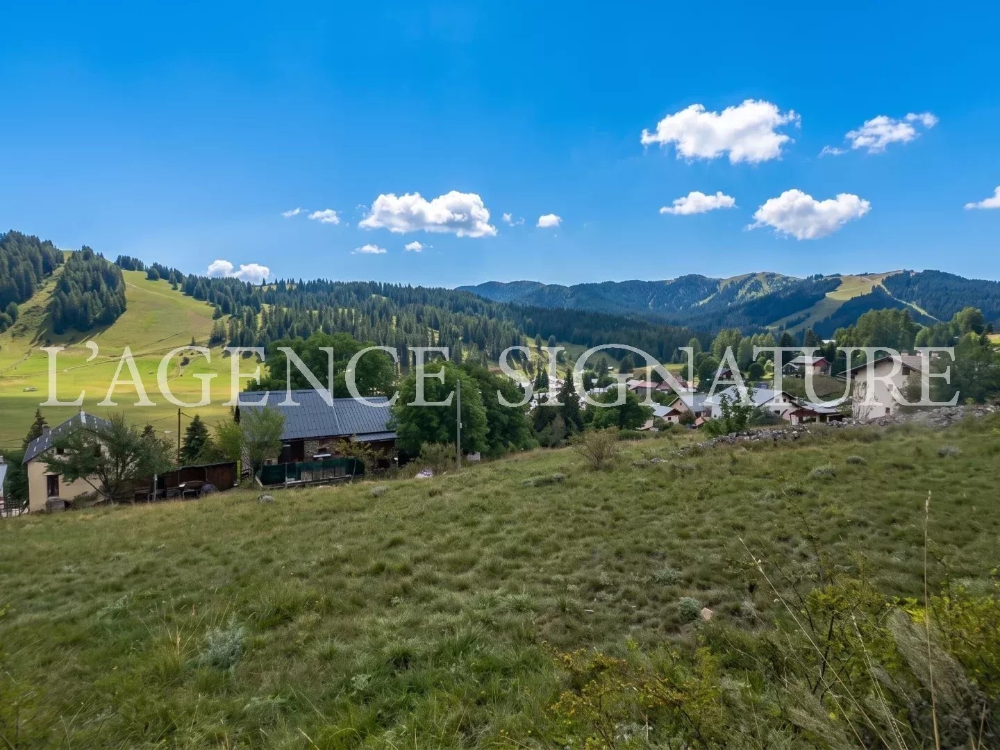 Terrain à vendre - 1001m2 - Beuil (06470)