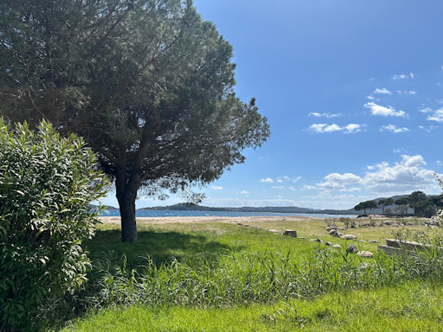 Terrain 1250 m²