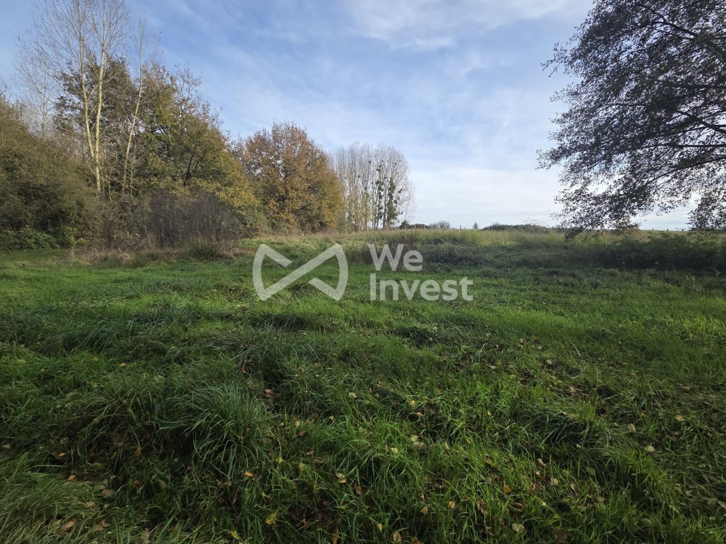 Terrain à vendre - 7992m2 - Cérans-Foulletourte (72330)