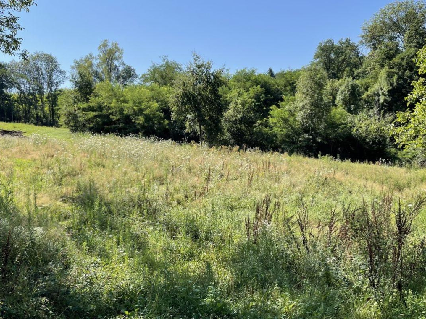 Terrain en individuel 27271 m²
