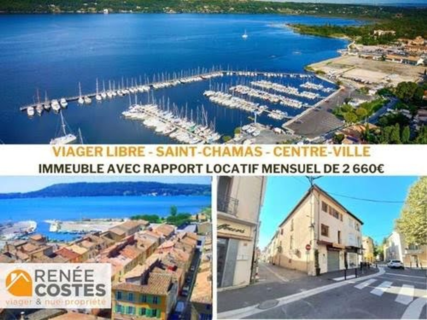 Viager 10 pièces 325 m²