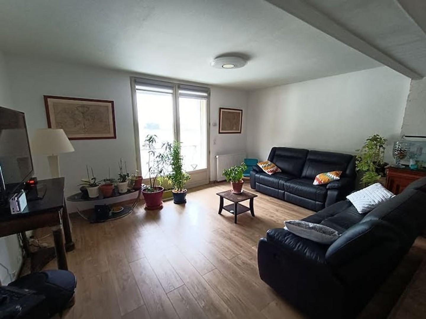 Local 1 pièce 34 m²