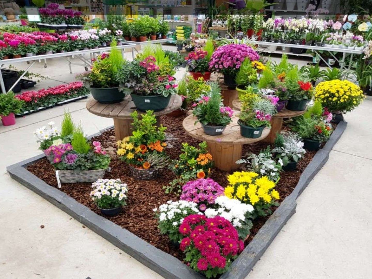 Jardinerie à vendre à Naveil