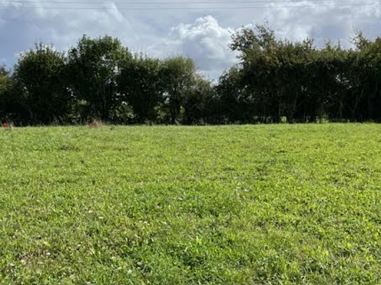 Terrain 417 m²