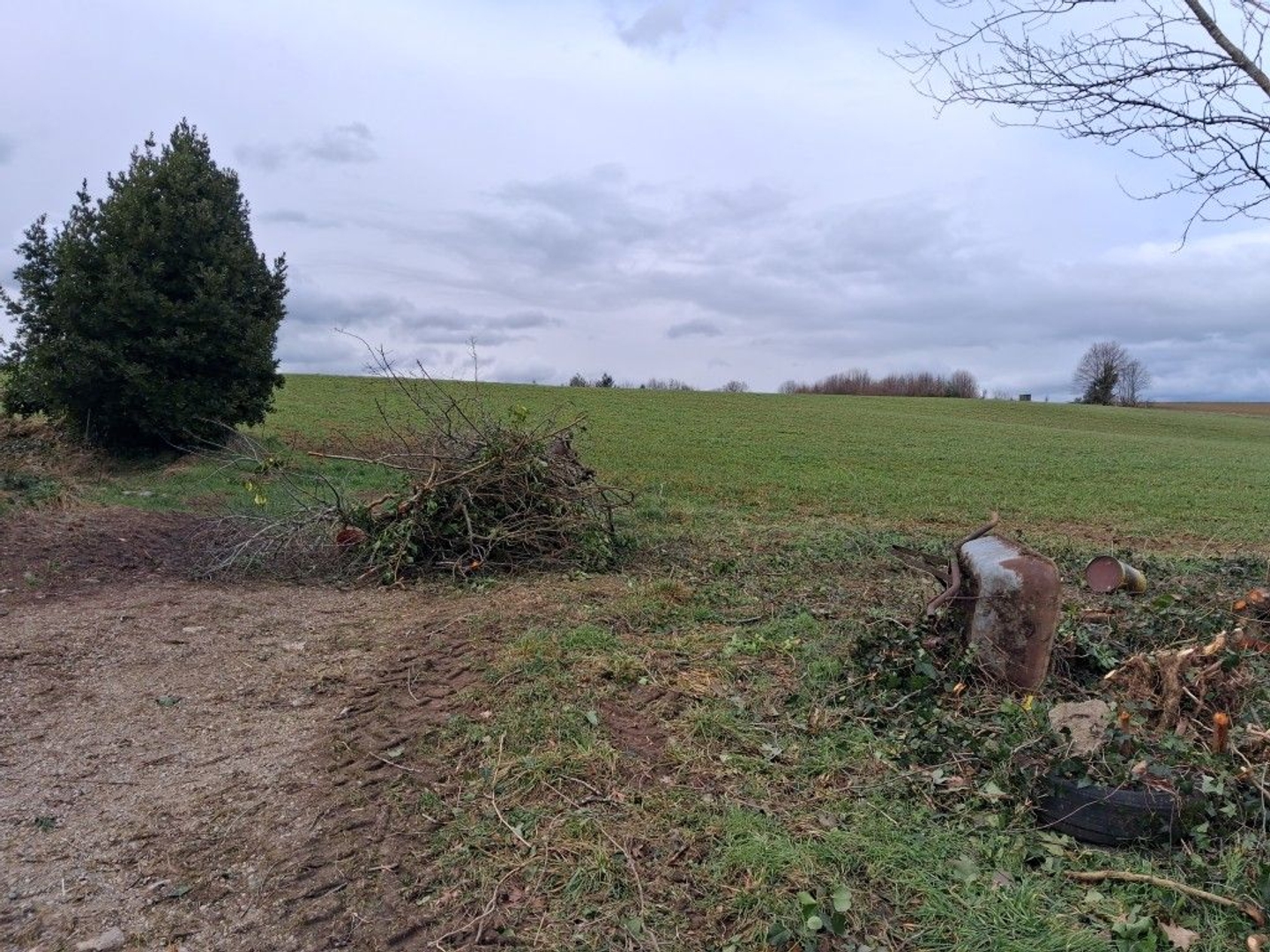 Maison à vendre - 4 pièces - 99m2 - Châteauneuf-La-Forêt (87130)