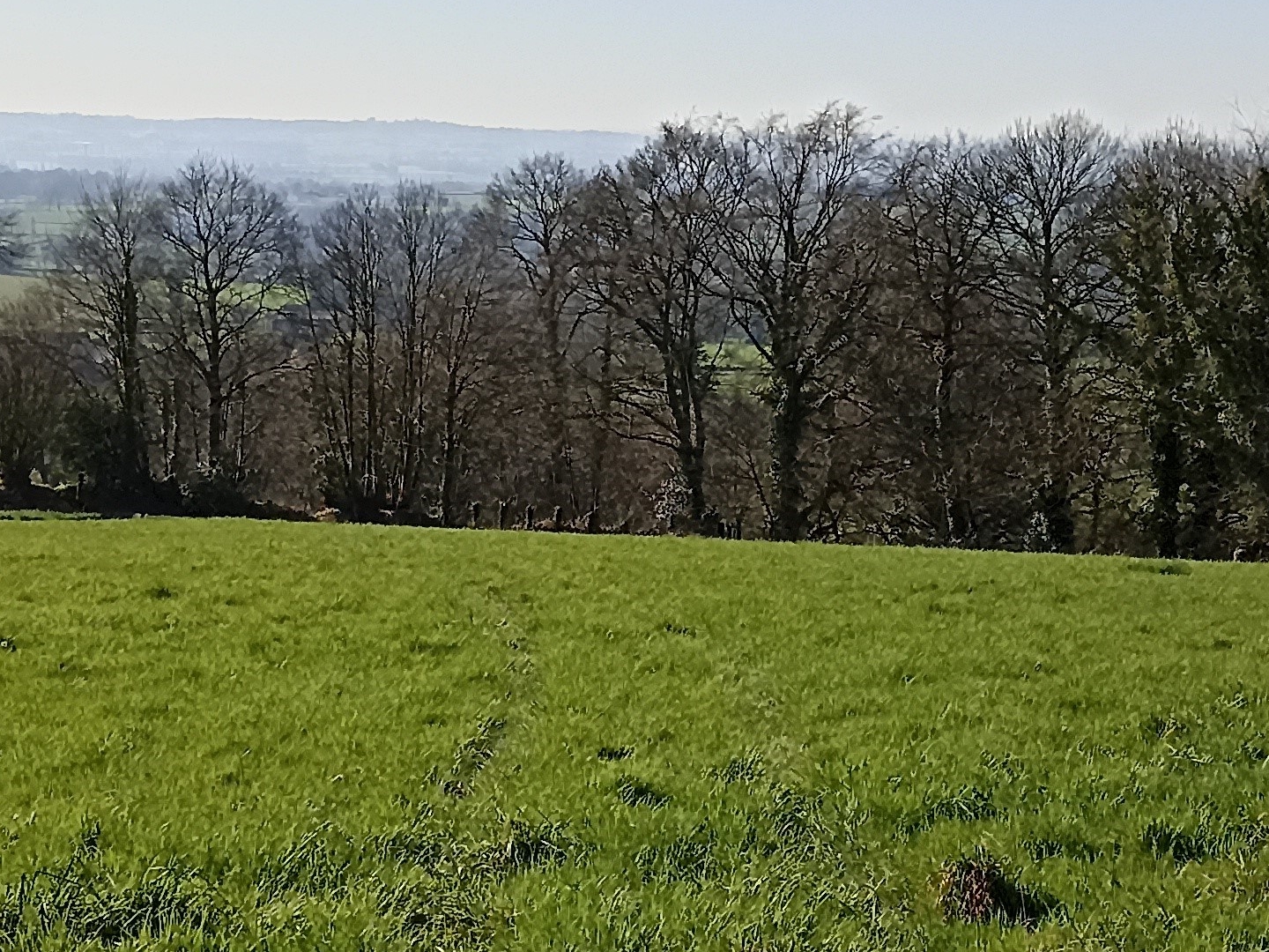 Terrain à vendre - 5717m2 - Romagny Fontenay (50140)