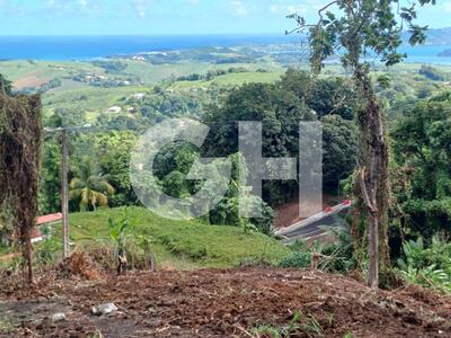 Terrain à vendre - 1213m2 - Le Robert (97231)