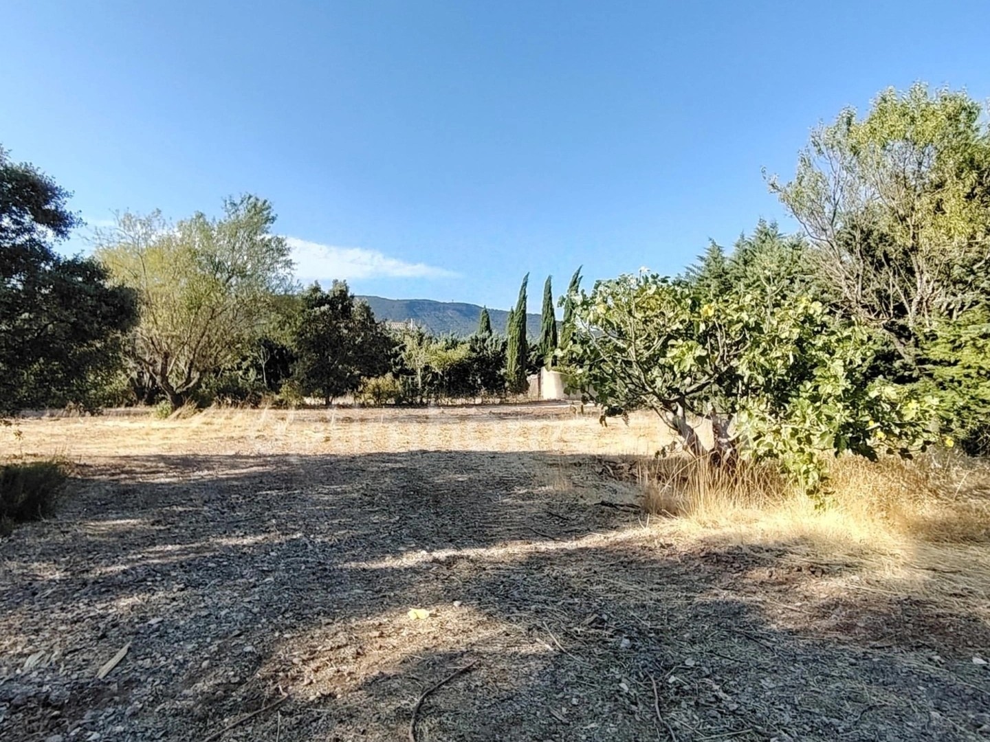Terrain 1001 m²