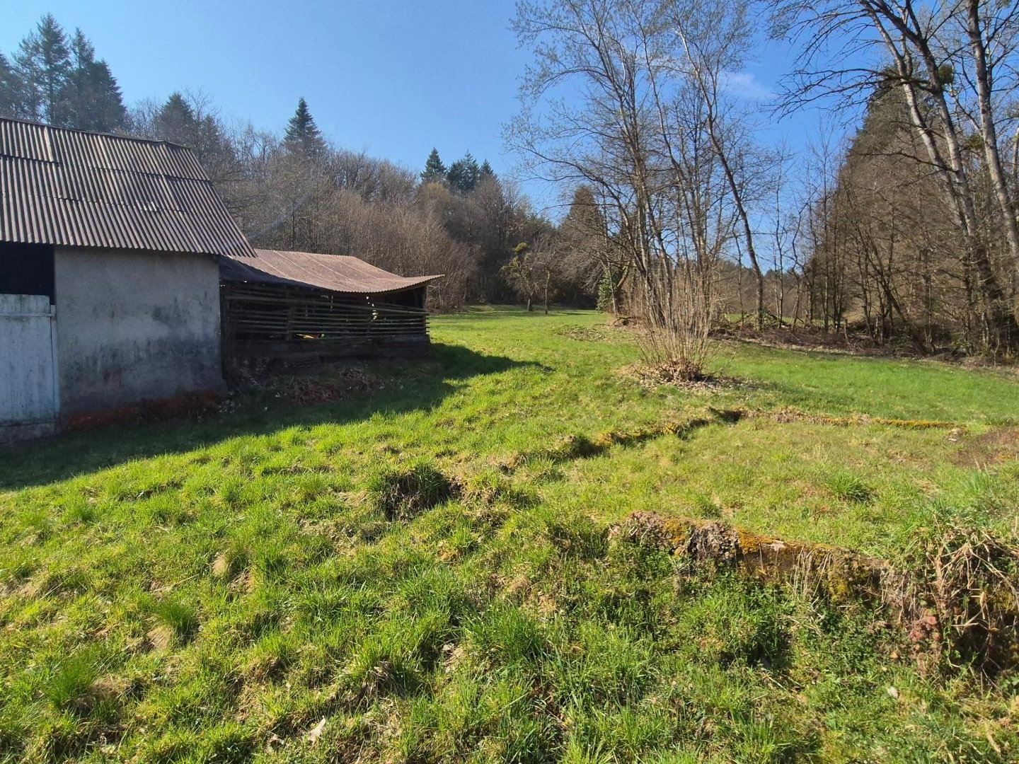 Maison à vendre - 3 pièces - 220m2 - Étueffont (90170)