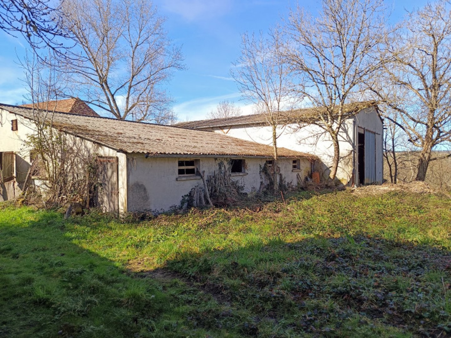Terrain à vendre - 7032m2 - Mirandol-Bourgnounac (81190)